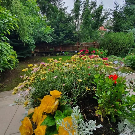 Nowy 2 Przy Termach Cieplickich * Jelenia Gora