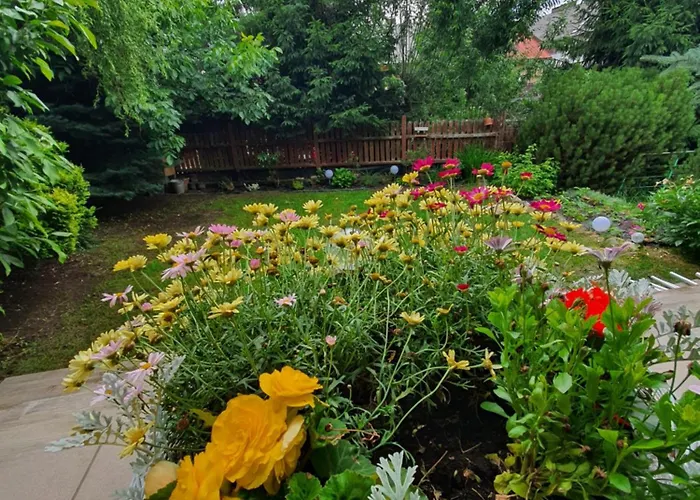 Nowy 2 Przy Termach Cieplickich * Jelenia Gora